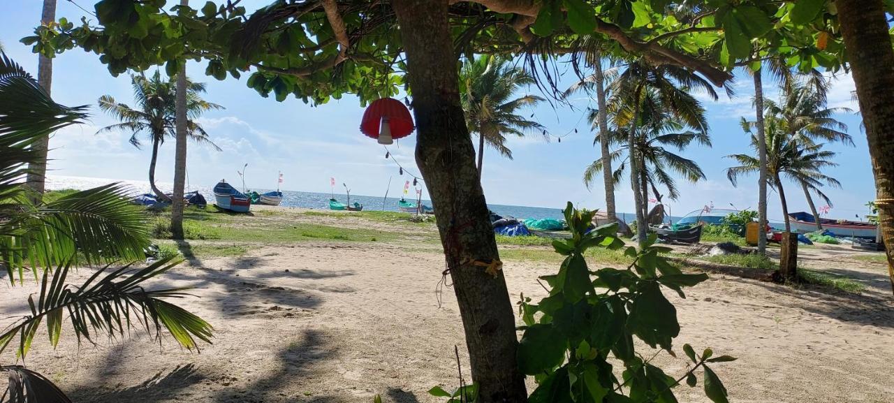 Marari Anna Beach Villa Mararikulam Eksteriør billede